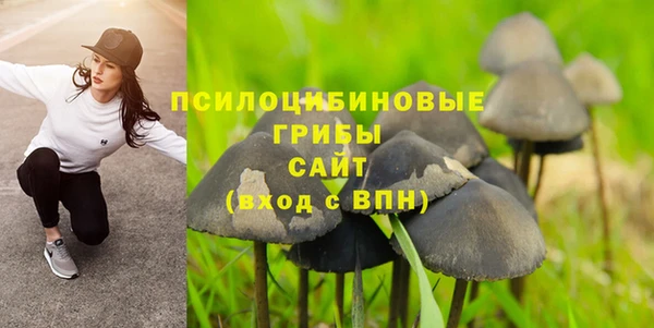 mdma Медвежьегорск