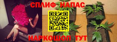 дистиллят марихуана Гагарин